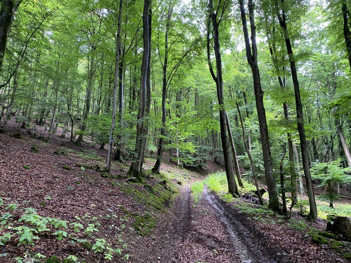 Waldlaeufer Brilon Lägenhet Exteriör bild