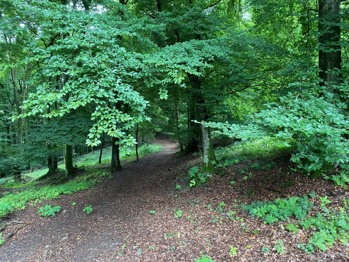 Waldlaeufer Brilon Lägenhet Exteriör bild